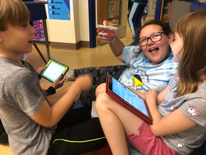 Roaches make cool pets