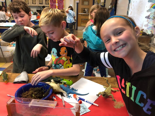 Worms make better pets