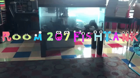 Animated GIF-downsized_large