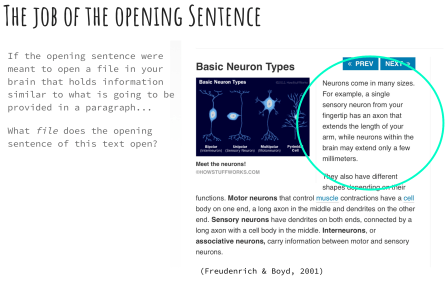 Screen Shot 2019-02-06 at 5.23.55 AM