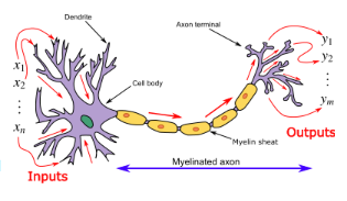 Screen Shot 2019-11-14 at 6.11.31 AM